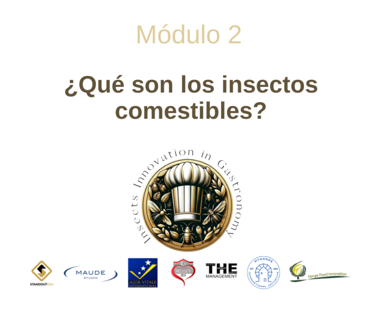 Módulo 2: ¿Qué son los insectos comestibles?