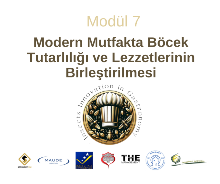 Modül 7: Modern Mutfakta Böcek Tutarlılığı ve Lezzetlerinin Birleştirilmesi