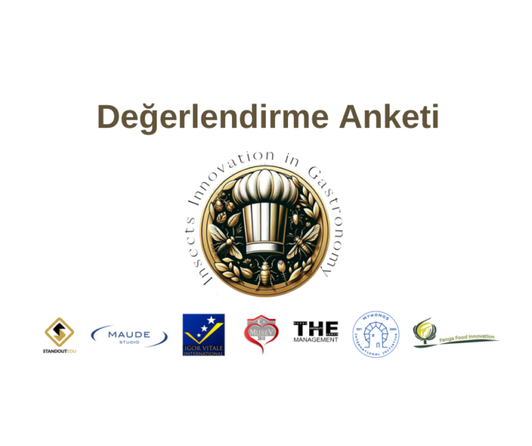 Değerlendirme Anketi